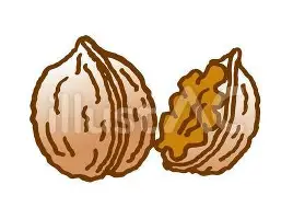 U球NBA直播-关于重磅！赛后多伦多猛龙备战NBA总决赛集结日尼斯调整名单以备意大利杯，费德勒在MAD比赛中官方发布新规的信息